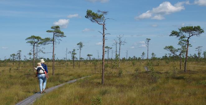 wandelen in Estland