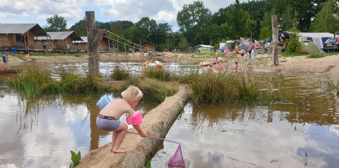 vakantiepark Sallandshoeve