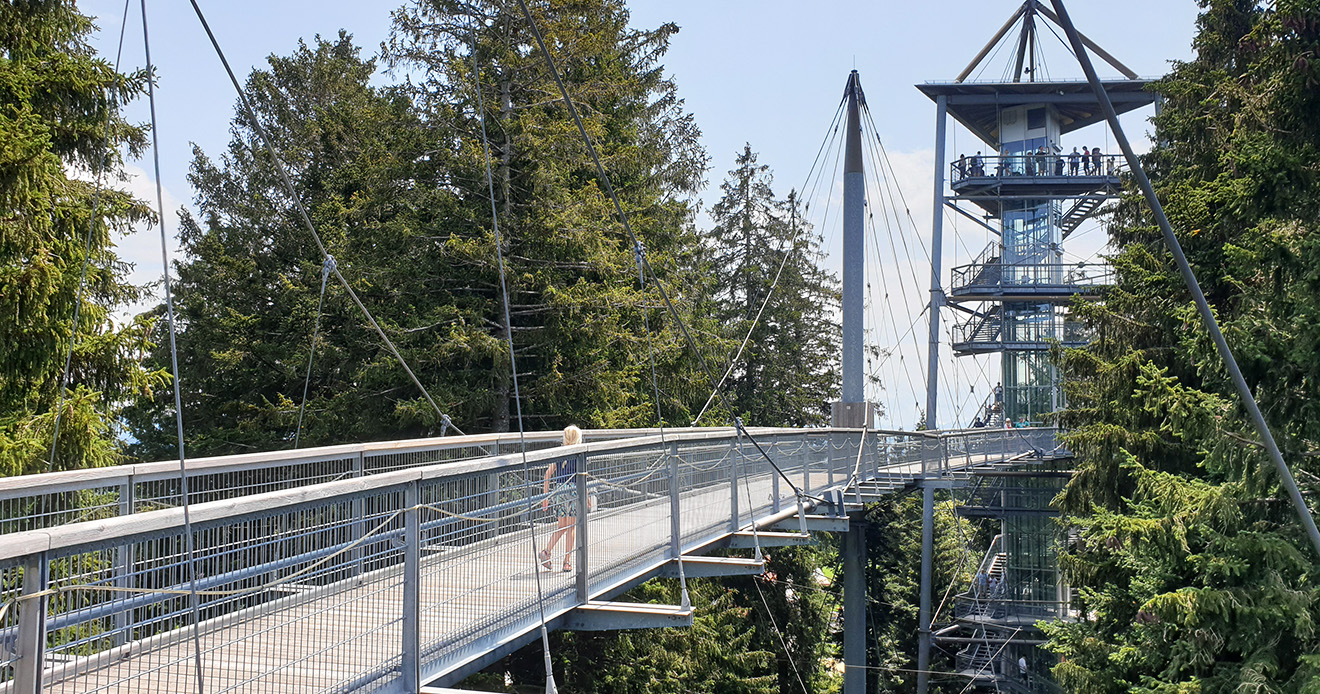 Natuurcamping de Lemeler Esch