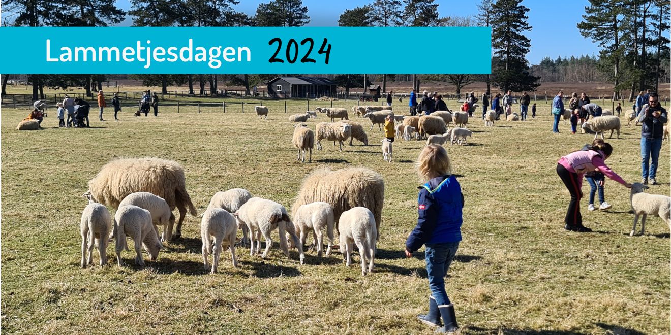 lammetjesdag 2024