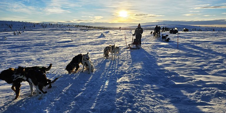 Wat te doen in Rovaniemi met kinderen? | Fins Lapland