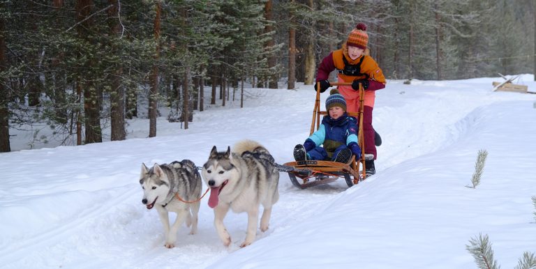 Huskytocht voor kinderen bij Ilonka | Fins Lapland